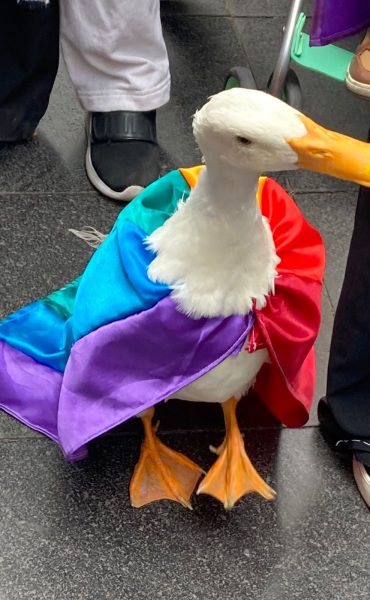 Patito participo en la Marcha del Orgullo LGBT 2022